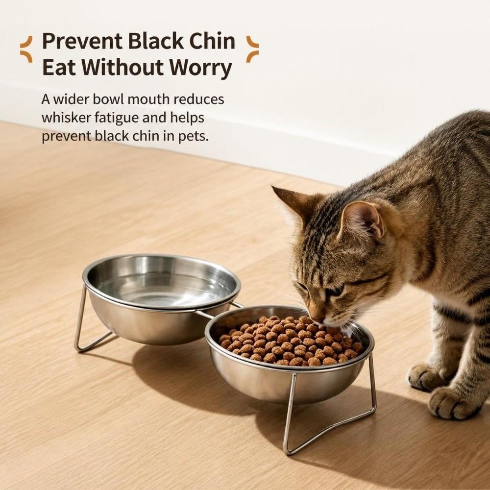 Tilted Cat Food Bowl 201 Stainless Steel Dog Water Bowls Stable Cat Bowls for Puppy and Cat