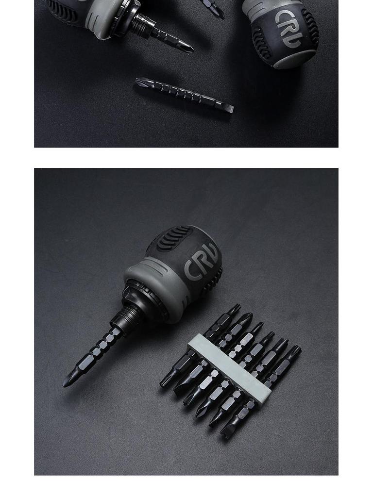 Dual-Head Ratcheting Telescopic Screwdriver with Phillips, Slotted, and Torx Heads