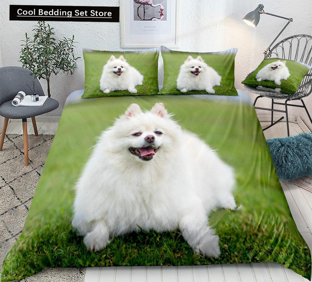 Potah na peřinu s motivem pomeraniana, psa, krále a královny, štěněte, sada ložního prádla pro teenagery a dospělé, domácí mazlíčky, zvířata, barevná obloha, 2/3dílná polyesterová prošívaná deka