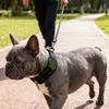 Reflective Cats Dog Collar for Tracking Device Durable Soft Wear for Training Wear Detachable Belt