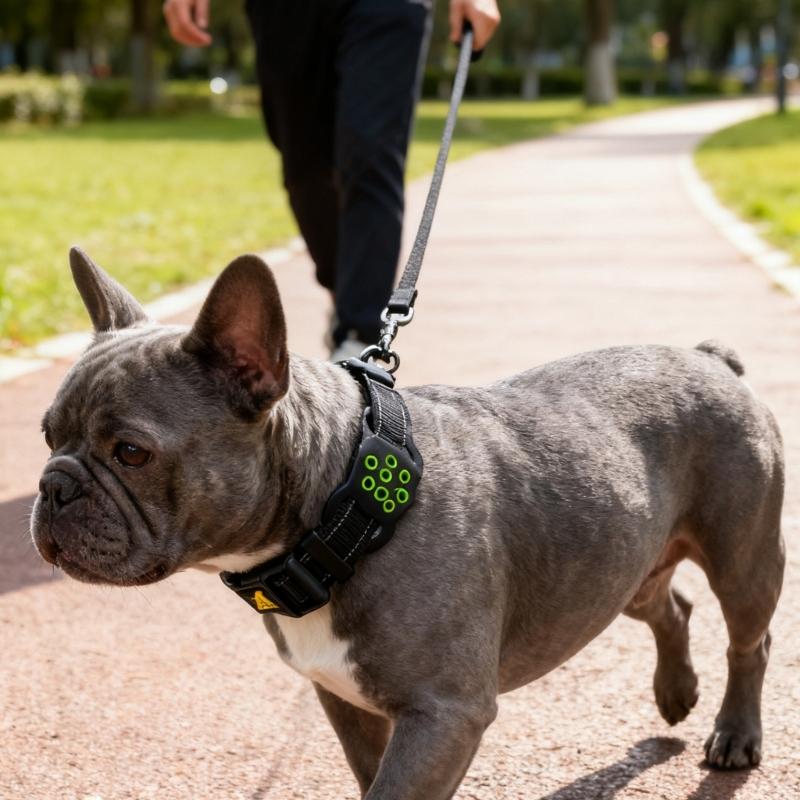 Reflective Cats Dog Collar for Tracking Device Durable Soft Wear for Training Wear Detachable Belt