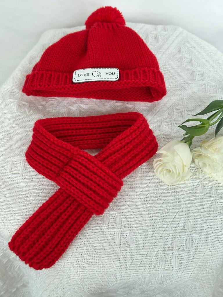 Teddy Bear Sweatshirt: Plush Doll Clothing Accessory