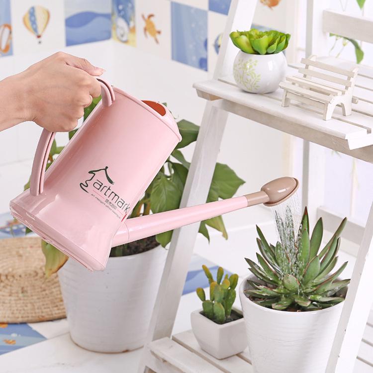 2L Long Spout Succulent Watering Can: Compact Plastic Watering Can with Spray Bottle for Home Gardens