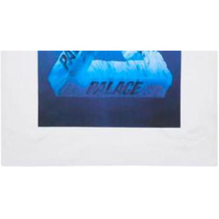 Palace Berg-Ferg T-shirt Grey Marl Unisex Streetwear P21TS182