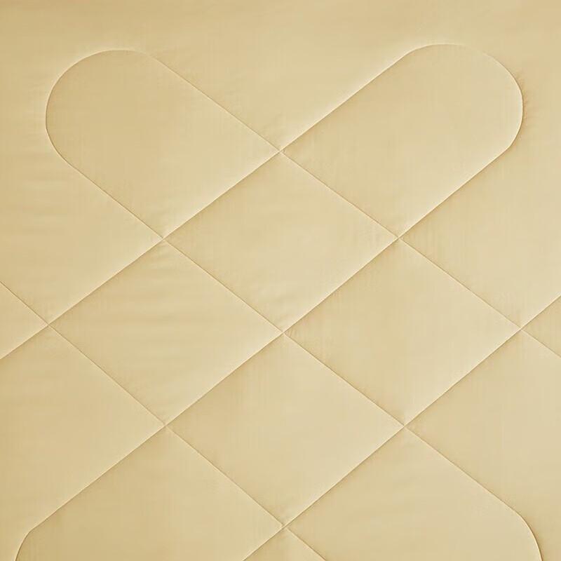 Luolai Home Textiles Double-sided Tussah Silk Quilt