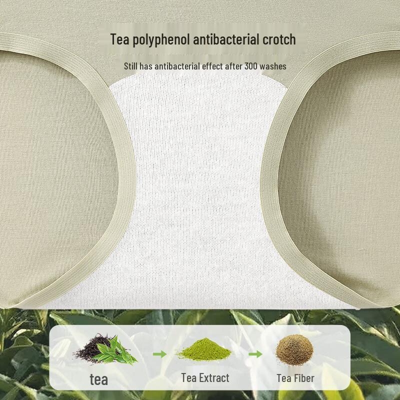 YOUNGYELL Women's High-Waist Seamless Antibacterial Underwear (3-Pack)