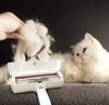 Hot Selling Small Portable Plastic Pet Hair Remover Roller Easy Clean Grooming Brushes for Dogs and Cats