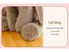 Fluffy Genuine AnTu Gongzai Little Rabbit Plush Toy Cushion