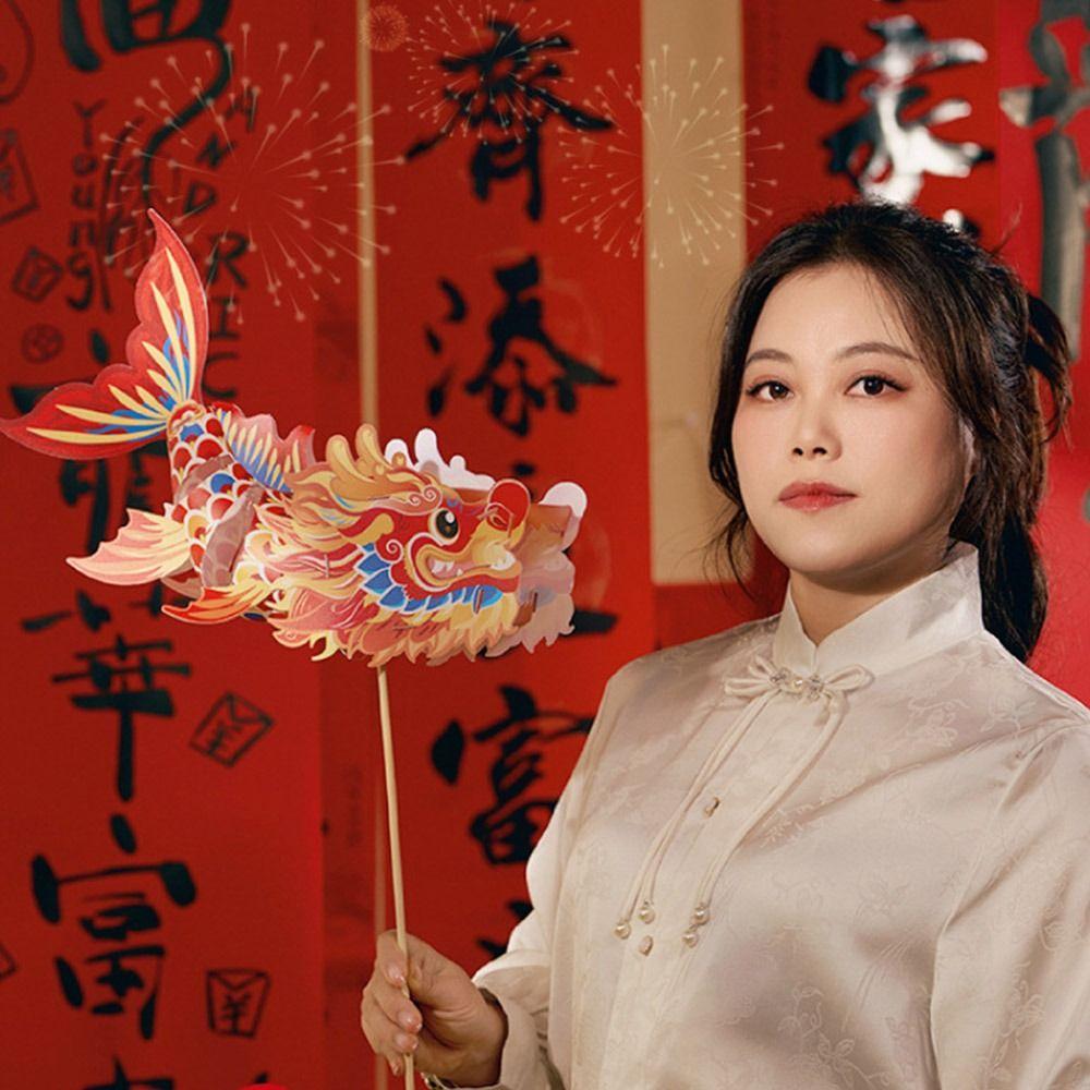 Projection New Year Lantern DIY Spring Festival Luminous  Lanterns  Spring Festival Decoration