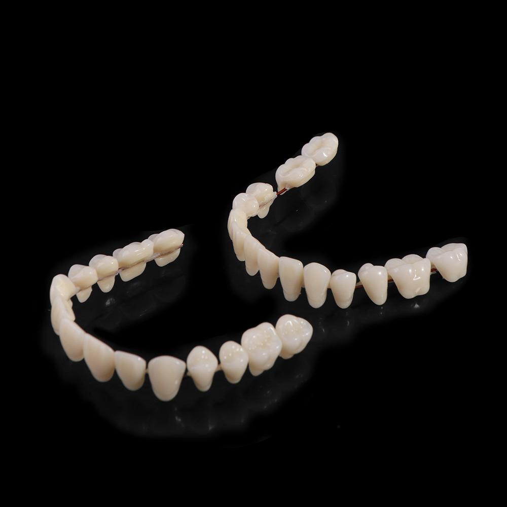 28 Pcs Resin Denture False Teeth Make Your Own Dental Training Models Dental Supply Accessory