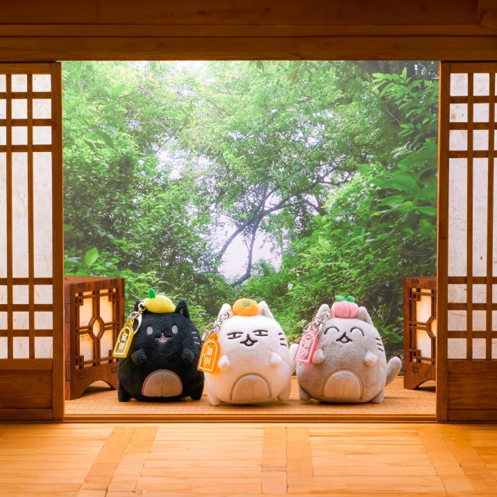 Buy 2nd Pre-order Artist Made Collection by SEVENTEEN JUN