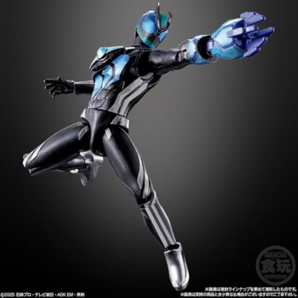 Shodou Kamen Rider Zetz AGT2 12 Pack Box (Food Toy)