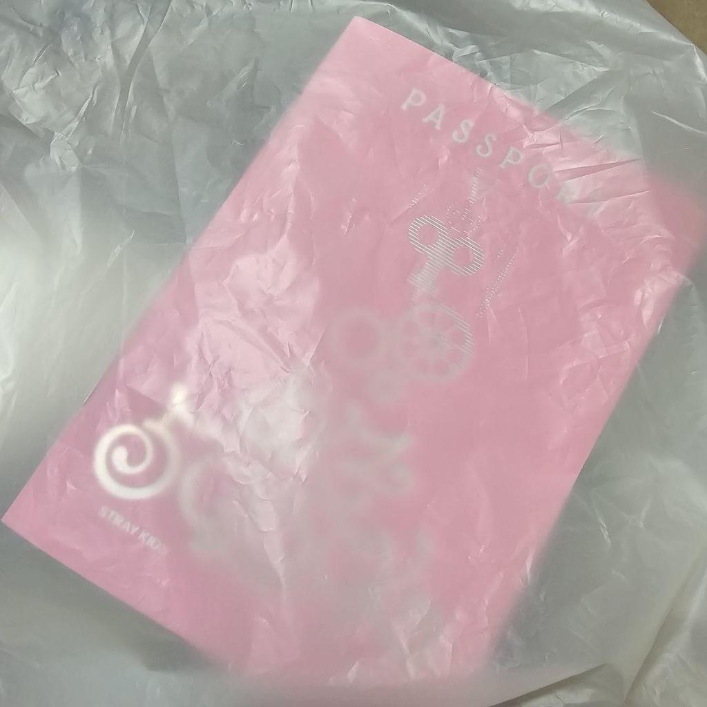 [USED] StrayKids SKZOO Teddy Bear Wolfchan