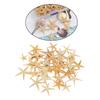 Mini Natural Flat Tan Starfish Seashells Beach Wedding Decor Craft Supplies