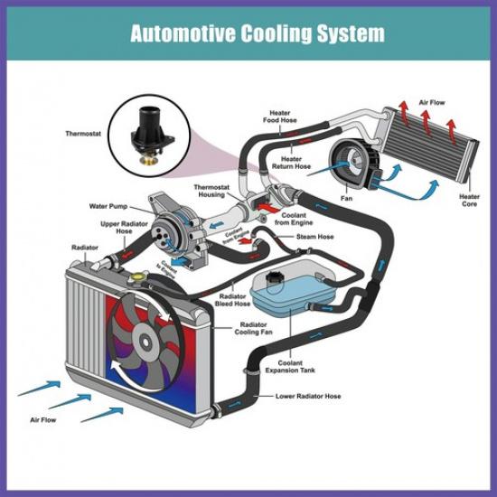 Engine Coolant Thermostat Housing Assembly Fit For Jaguar X-Type 02-08