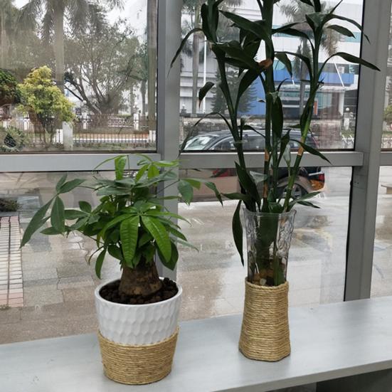 חבל סיסל טבעי Yousheng, חבל החלפה עמיד במיוחד לגירוד חתולים, לחבטת גירוד לחתולים, יצירות עשה זאת בעצמך, גינון