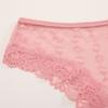 Seamless Lace Trim Briefs Transparent Perspective Underwear Breathable Women Lace Panties  Female