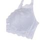 Barbara No Wire Lace Bra  Abr4808 