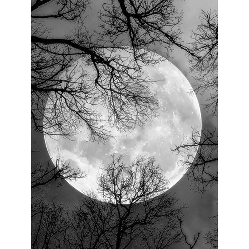 

Полный круглый пейзаж алмазная живопись 5D Луна Алмазная художественная вышивка пейзажная мозаика ручной работы Новое поступление украшения дома Full Round 30x40CM