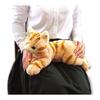 Knee cat stuffed toy brown M size P-1812