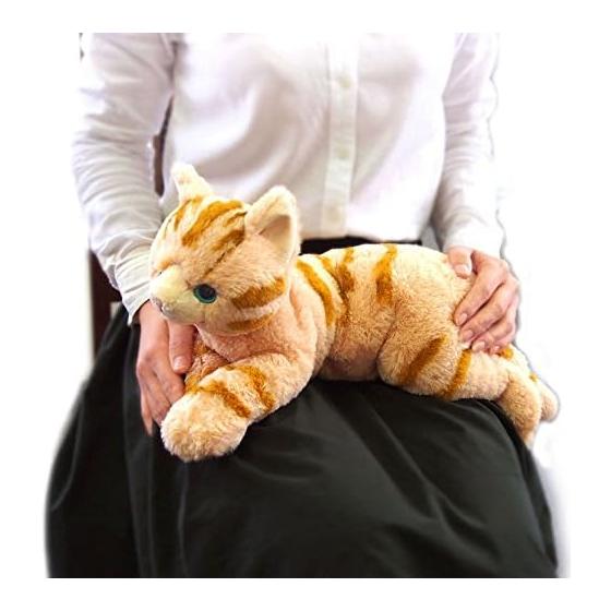 Knee cat stuffed toy brown M size P-1812