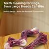 Simulation Bone Dog Chew Nylon Teeth Cleaning S-shaped Chew Toys Eco-Friendly Training Indestructible Dog Bone Medium Dogs