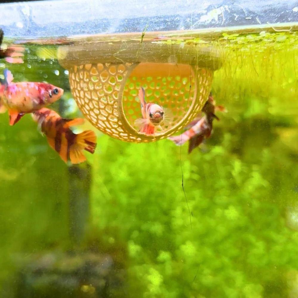 3-in-1 Aquarium Floating Cave Safe Plastic Fish Shrimp Hideout Shelter Decorative Breeding House Betta Cave Fish Tank Accessory