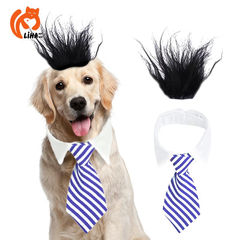 

Fashion Eyecatching Pet Accessories Featuring White Shirt Tie And Bright Fluffy Wig Pets For StyleA,S