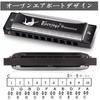 EVERJOYS Diatonic Harmonica 10 Hole Blues Harp with Polishing Instruction Key of C Case, Cloth, Manual,