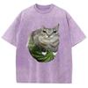 Watermelon Cat Silly Cat Meme T-Shirt Summer Sport Loose T Shirt Tops Shirt Is A Stylish Unisex Top for Both Men and Women