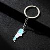 Argentina Map Flag Keychain Stainless Steel Charm Keyring Remembrances Jewelry