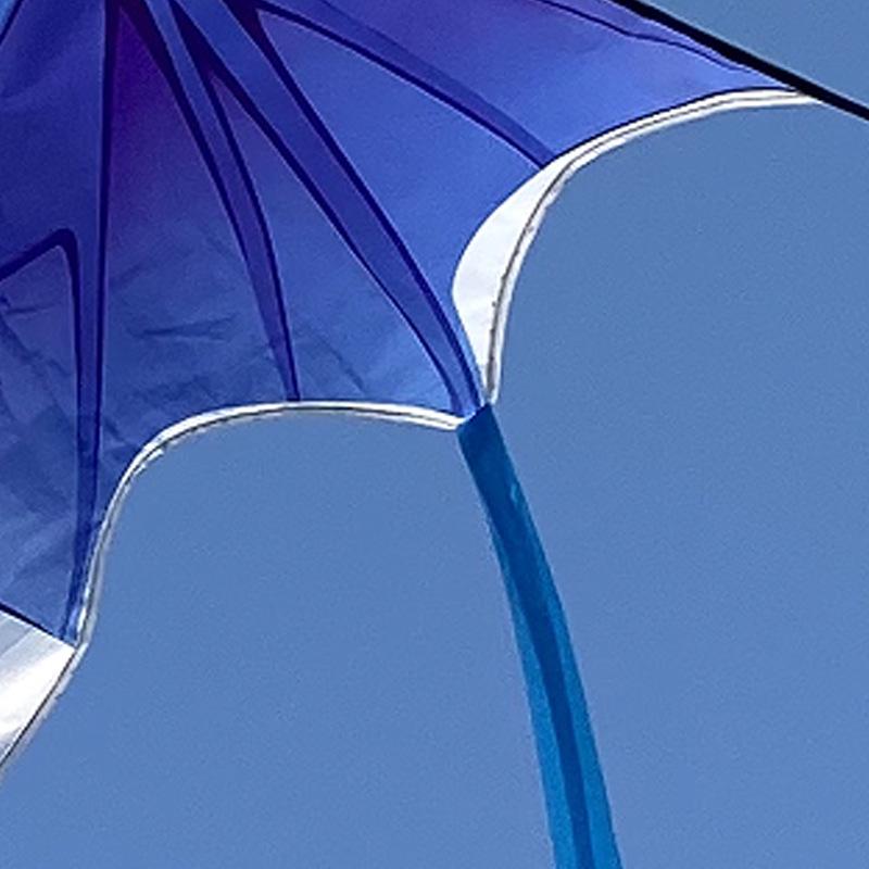 Blue Dragon Kite: 2026 Triangular Long-Tailed Model for Adults & Children
