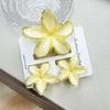 Set di pinze per capelli a forma di frangipani: Accessori per Capelli Floreali in Finto Marmo per Vacanze alla Moda