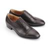 Botine
