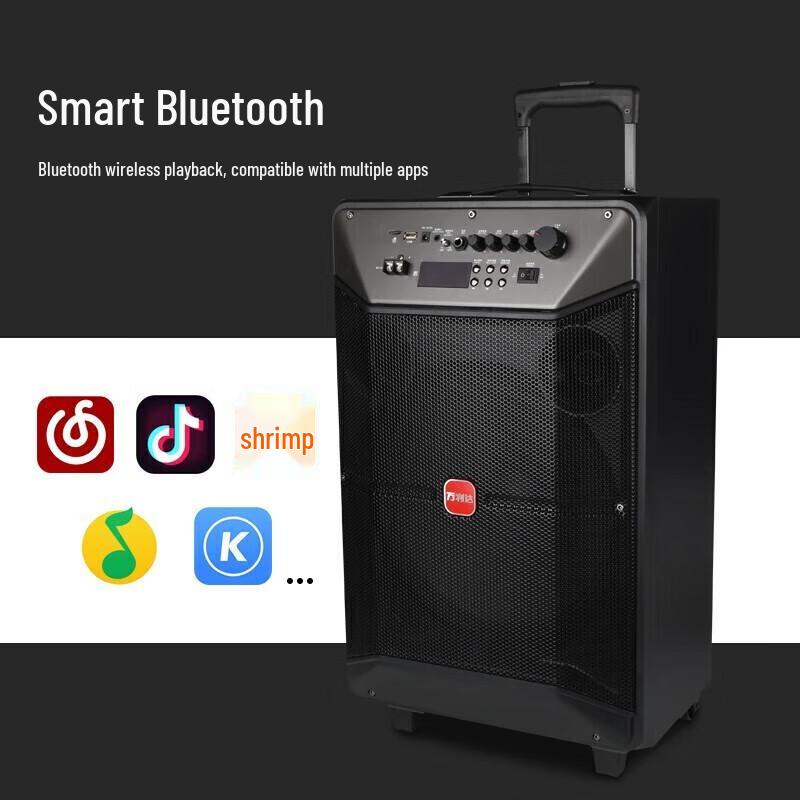 Malata M+9086 Portable Outdoor Bluetooth Karaoke Speaker