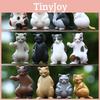 Cat Action Social Figure Cartoon Model Toy Decoration Doll Kid Ornament Gifts