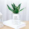 Plantepotte Høy holdbarhet Stor kapasitet, automatisk vannabsorberende, runde blomsterpotter med bomullstau for hjemmet
