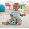 Jouet d'activité cube animal Fisher-Price - BFH80 - Mixte - A partir de 12 mois - Coloré