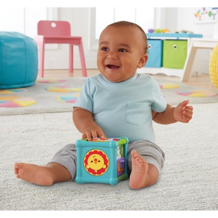 Jouet d'activité cube animal Fisher-Price - BFH80 - Mixte - A partir de 12 mois - Coloré