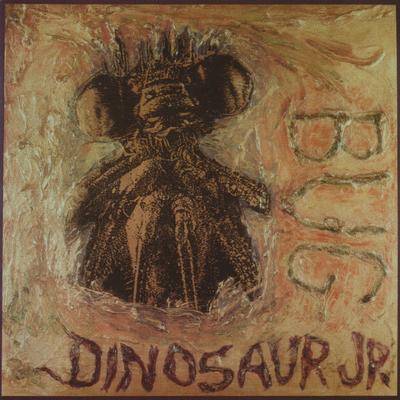 CD DINOSAUR JR. - Bug MRG245 Merge Records 2005 US Rock Used
