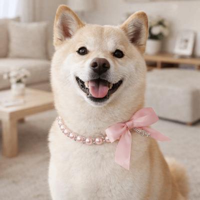 Fashionable Adjustable Pet Pearl Necklace Simulated Pearl Bling Cat Bead Collar Bow Knot Ribbon Elegant Pet Puppy Jewelry Party