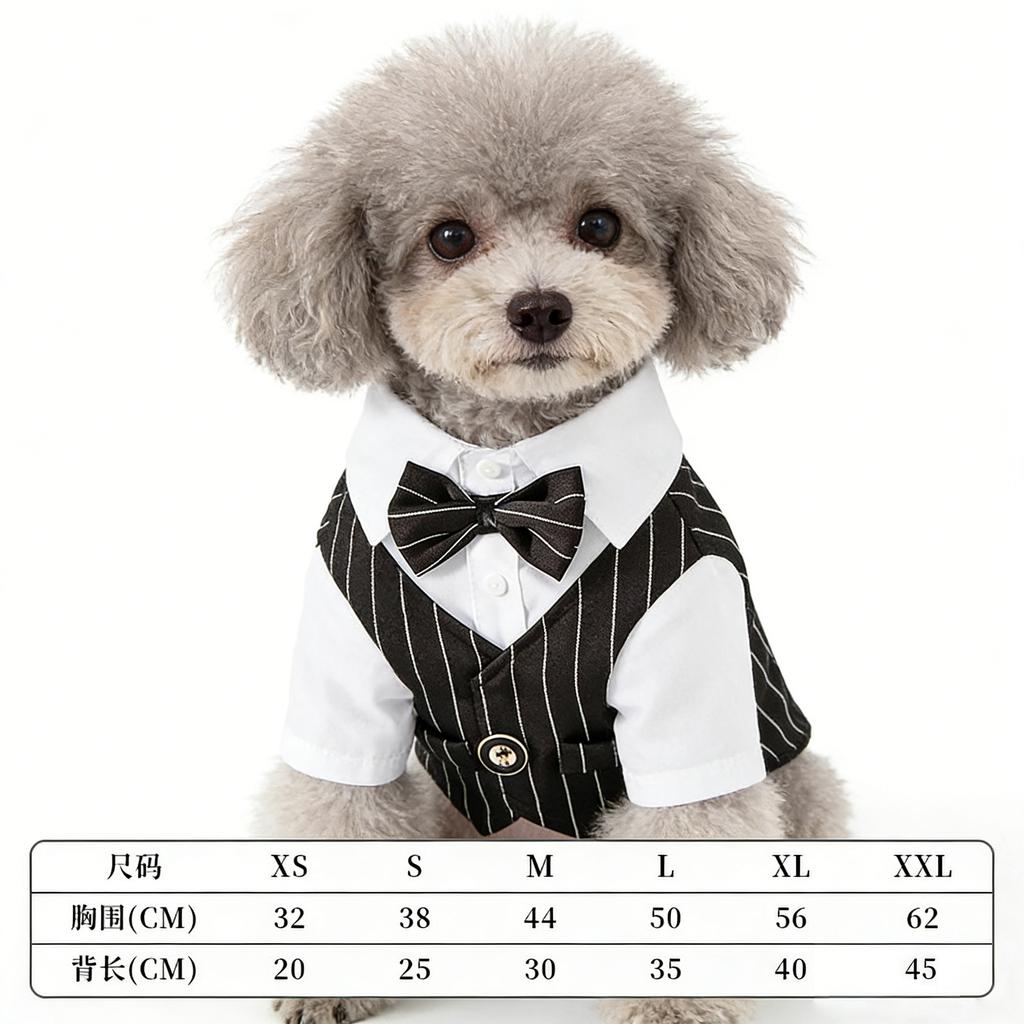 Polyester Pet Clothes Teddy Dog Clothes Spring Summer Pet Jacket Cat Clothing Wine Red Navy Blue Black Dog Coat with A Bow Tie