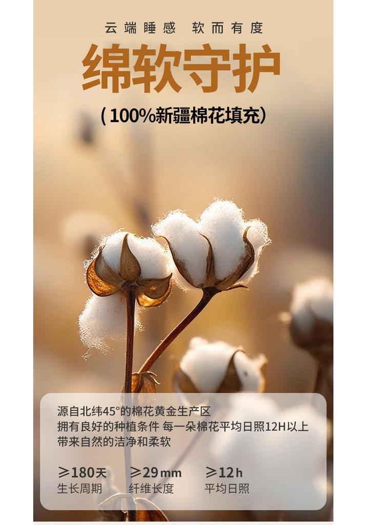 Xinjiang Cotton Quilt for Winter Warmth