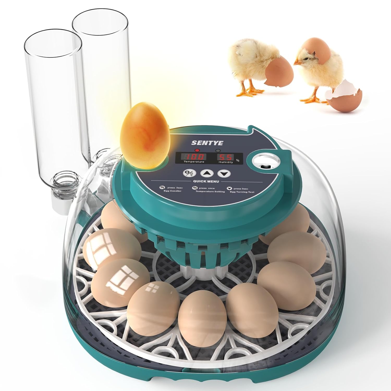 Automatic Egg Incubator for Hatching Eggs with LED Temperature Display, Humidity Control & Egg Turner, Clear Lid Incubator for Chicken зелёный