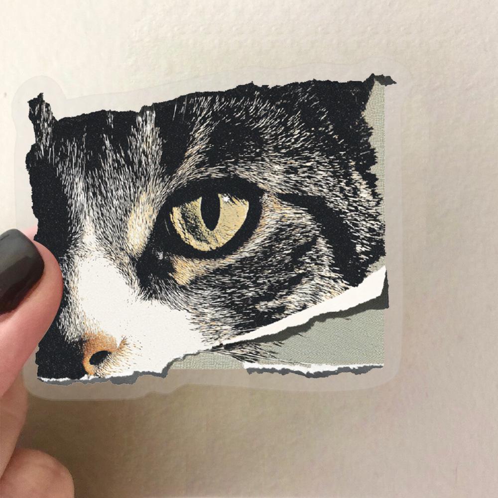 50 Retro-Style Torn Photo Graffiti PET Stickers: DIY Journal, Phone & Laptop Waterproof Decals