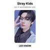 Stray Kids DO IT ACCORDION VER. Official Photocard