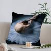 Black and White Ballet Girl Ballerina Cushion Cover Inches Farmhouse Decor Home Throw Pillow Covers for Couch Decorations