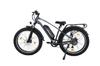 AVDL A35 E-Bike Elettrica da Neve Fuoristrada per Adulti 250W Batteria 48V15.6Ah Ruote Fat da 26 Pollici E-Bike da Montagna per Ciclismo Fuoristrada all'Aperto