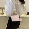 Stylish Pu Leather Crossbody Bag For Women 2023 Trendy Small Square Handbag