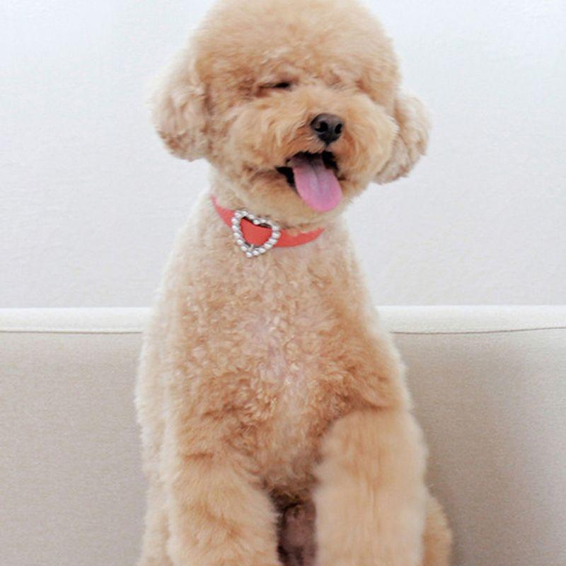 MAISON DE MIU Heart Pearl Necklace Coral